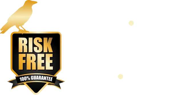 A black background featuring bold white text that reads "RISK FREE 100% GUARANTEE" with a sleek black banner above it.
